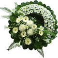 Tokat Elvankent �i�ek�i firma �r�n�m�z cenazeye �i�ek �elenk modeli Tokat �i�ek g�nder firmas� �ahane �r�n�m�z