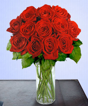 zile �i�ek�i firmas� �r�n�m�z Sevgi belirtisi 12 adet g�l Tokat �i�ek g�nder firmas� �ahane �r�n�m�z