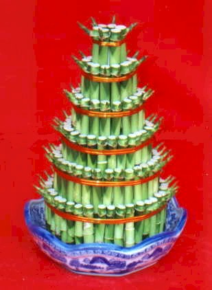 Tokat zile �i�ek sipari�i firma �r�n�m�z Lucky Bamboo �ans mele�i �i�e�i bambu �i�e�i