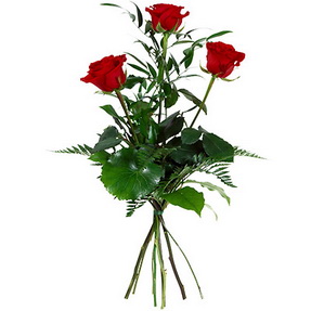 3 adet k�rm�z� g�lden buket