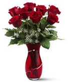 8 adet k�rm�z� g�l sevgilime hediye